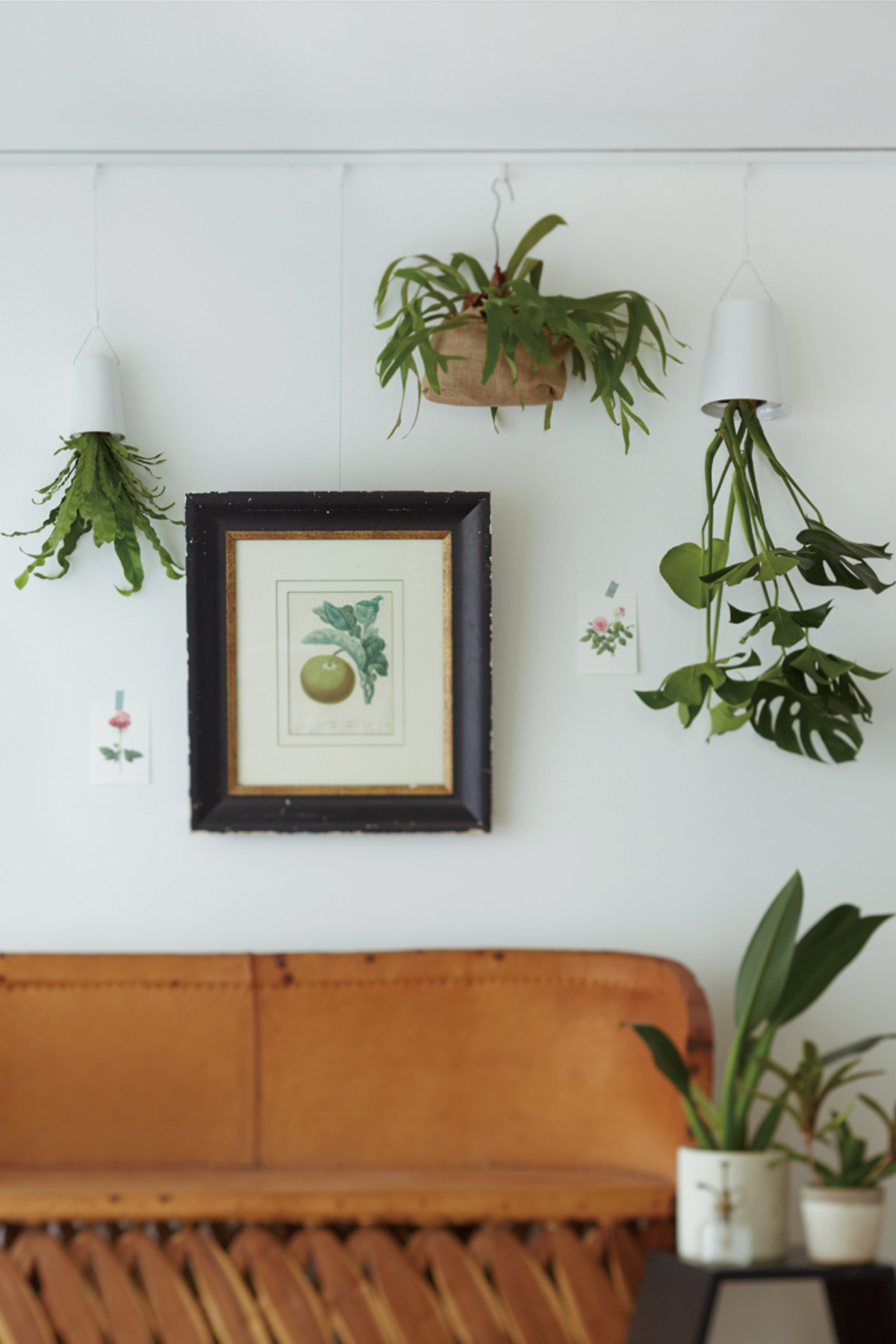 picture rail - bingkai dan pot gantung