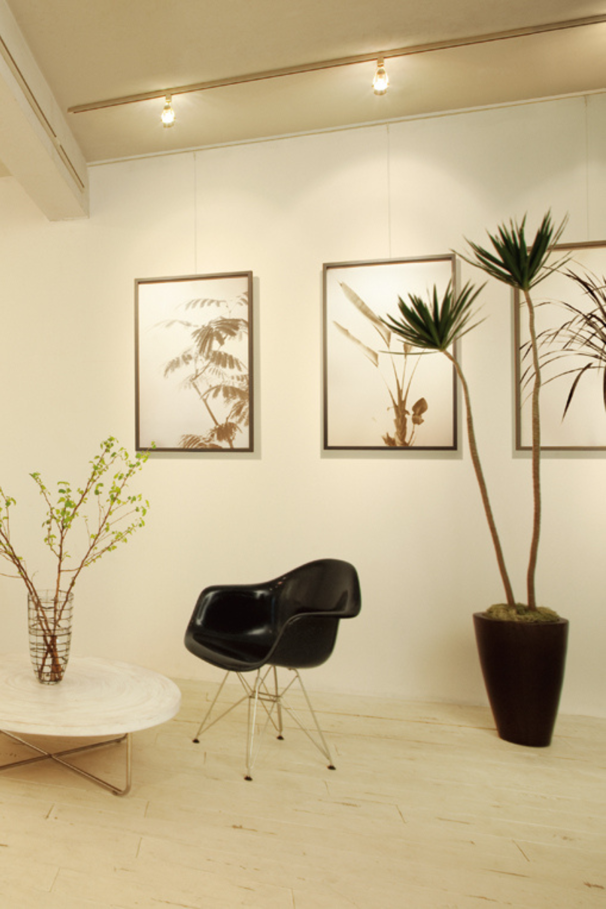 Picture Rail - bingkai kantor