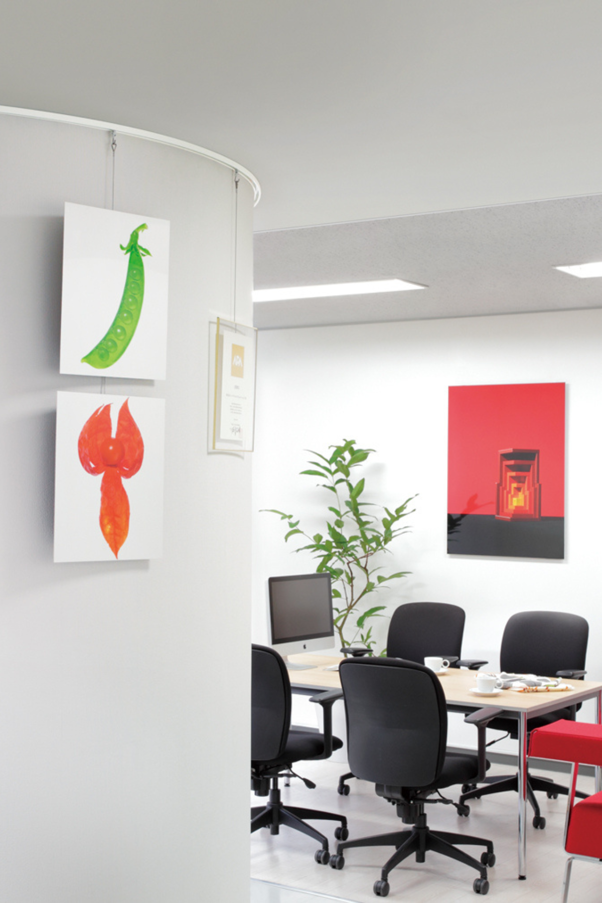 picture rail - kantor 